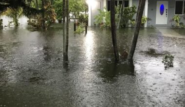 2025 in Review: The Miami Times' top stories of the year | Local News & Updates | The Miami Times