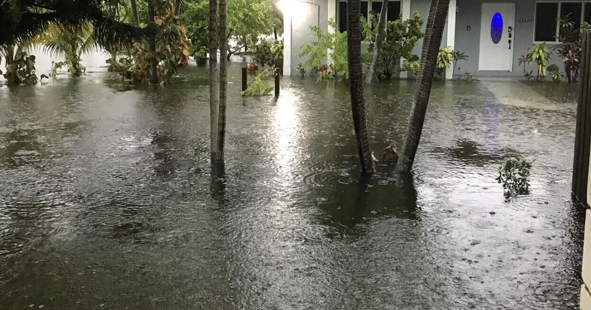 2025 in Review: The Miami Times' top stories of the year | Local News & Updates | The Miami Times