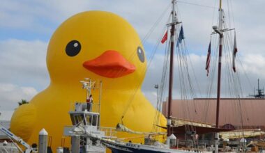 Things to do around Pinellas: Jan. 8-14 | News