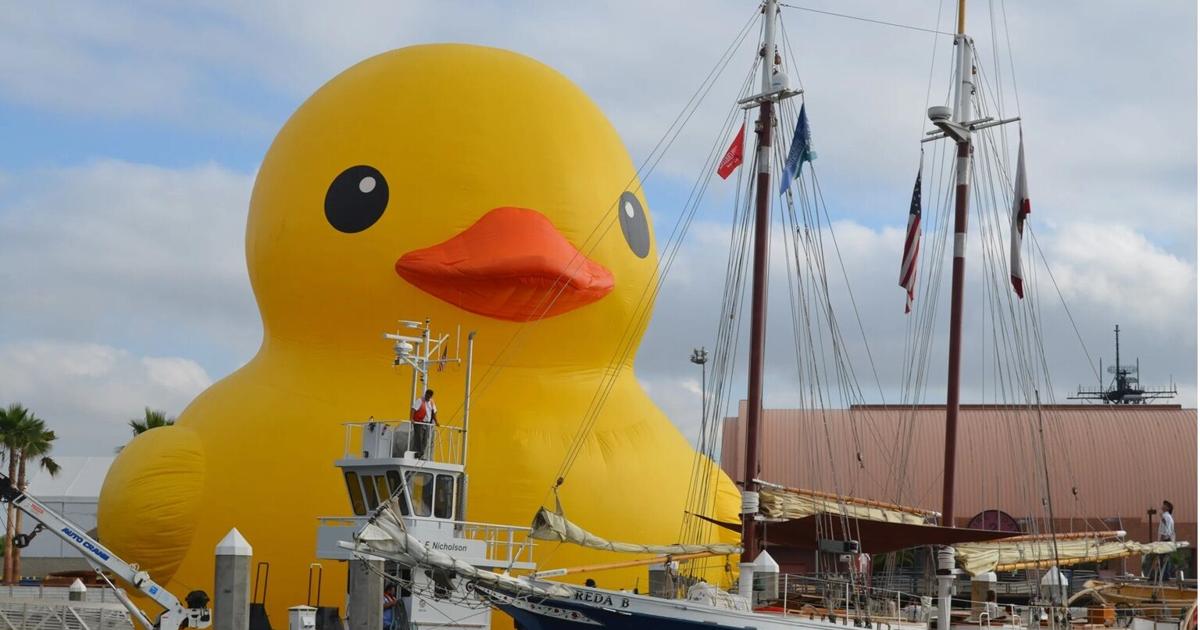 Things to do around Pinellas: Jan. 8-14 | News