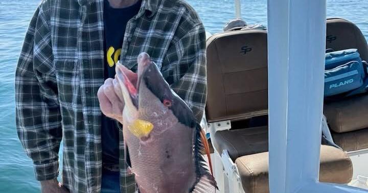 The Pasco & North Pinellas Fishin’ Report: Sheepshead, trout are biting in canals | Sports