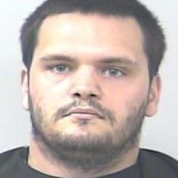 Man charged with strangling cat belonging to girlfriend in Port St. LucieSuspect confessed after initially denying he harmed the cat, investigators say. | St. Lucie County