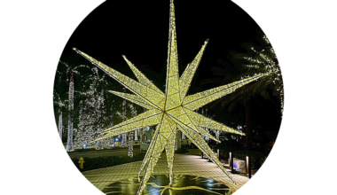 Ringing in the New Year and Celebrating 2025 | Columnists