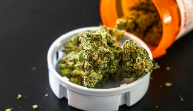 Florida bill would ease medical marijuana renewal rules | Health