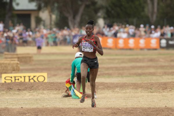 WXC Tallahassee 26 senior women's preview: new champion to be crowned | News | Tallahassee, FL 26
