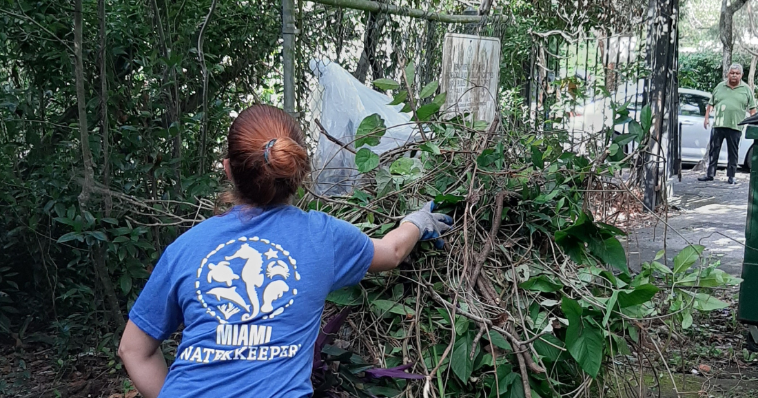 Miami Waterkeeper plans dual cleanups at Virginia Key and Crandon | Key Biscayne