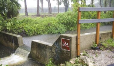 Elevated fecal bacteria remains in Fort Myers canal | Lee County