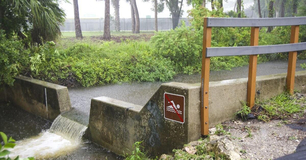 Elevated fecal bacteria remains in Fort Myers canal | Lee County