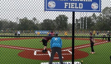 Build it with synthetic turf, and they will come | News