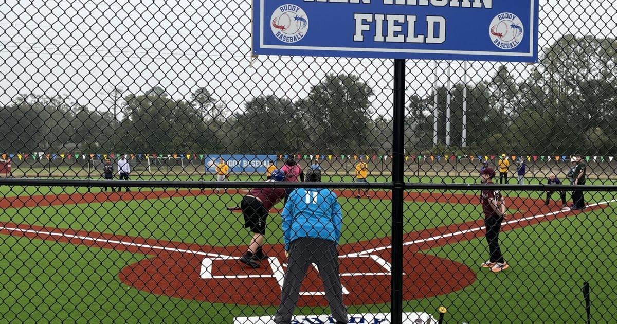 Build it with synthetic turf, and they will come | News