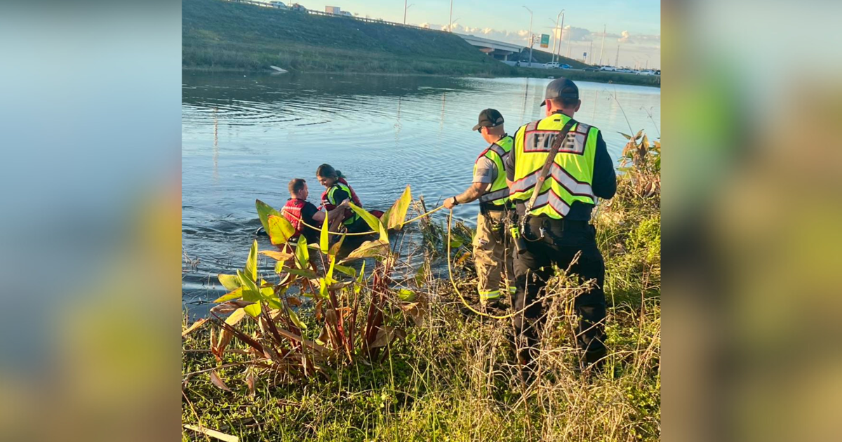 Fort Myers rescue saves two after car plunges into pond | Lee County