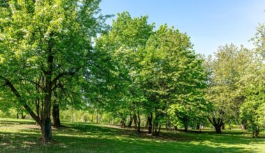 Things to do around Tampa & Wesley Chapel: Jan. 15-21 | News