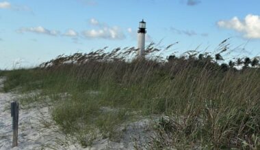 Sunny and warmer Saturday on Key Biscayne | Key Biscayne