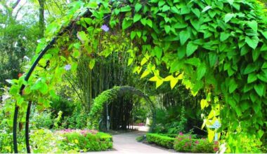 PSL Botanical Gardens to plant a tree for Florida Arbor Day | St. Lucie County