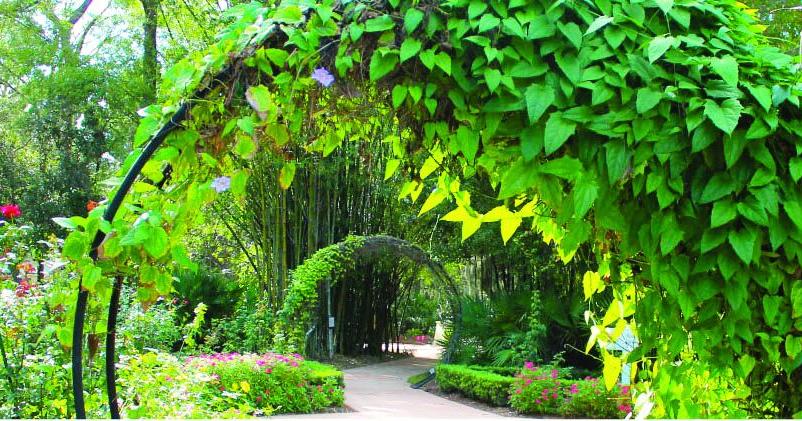 PSL Botanical Gardens to plant a tree for Florida Arbor Day | St. Lucie County