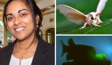 Lunch & Learn returns with “20 animals you didn’t know existed” | Key Biscayne