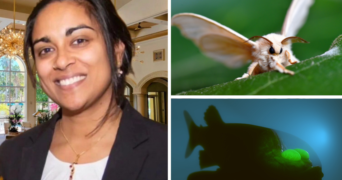 Lunch & Learn returns with “20 animals you didn’t know existed” | Key Biscayne