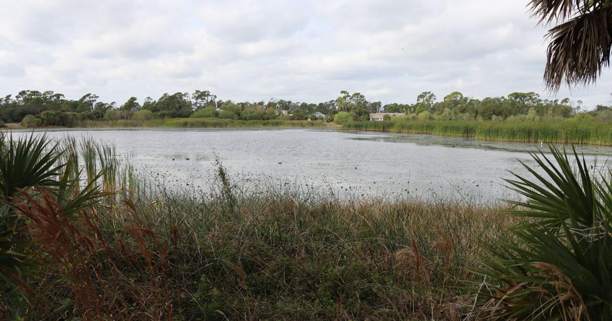 Pond vegetation overgrowth frustrates residents in Charlotte County | WINK Listens