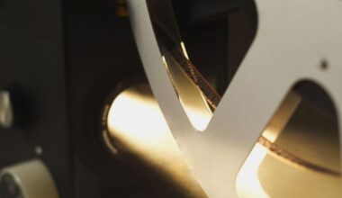 L.I.F.E. Celebration anchors the 10th anniversary of the Sunshine City Film Festival | Diversions