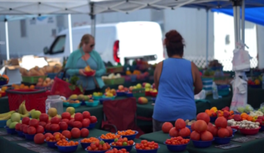 Fort Myers Farmers Market returns, boosting local businesses | Lee County