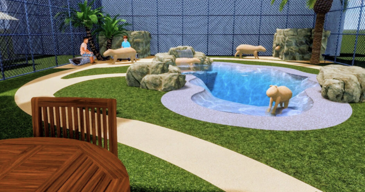 CapyCove: A capybara ‘oasis’ is coming to St. Pete | St. Petersburg