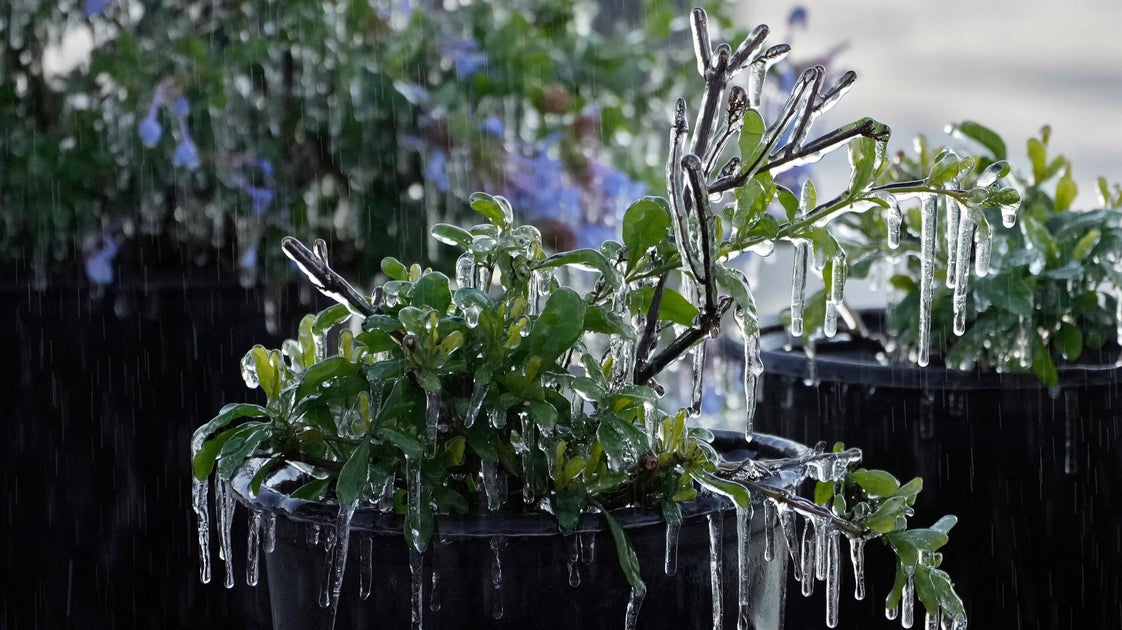 Snow Blankets Florida Panhandle For A Second Year In A Row