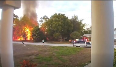 Lehigh Acres woman accused of arson, killing dog | Lee County