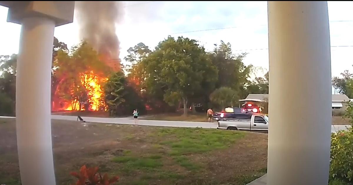 Lehigh Acres woman accused of arson, killing dog | Lee County