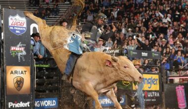 Things to do around Tampa & Wesley Chapel: Jan. 22-28 | News