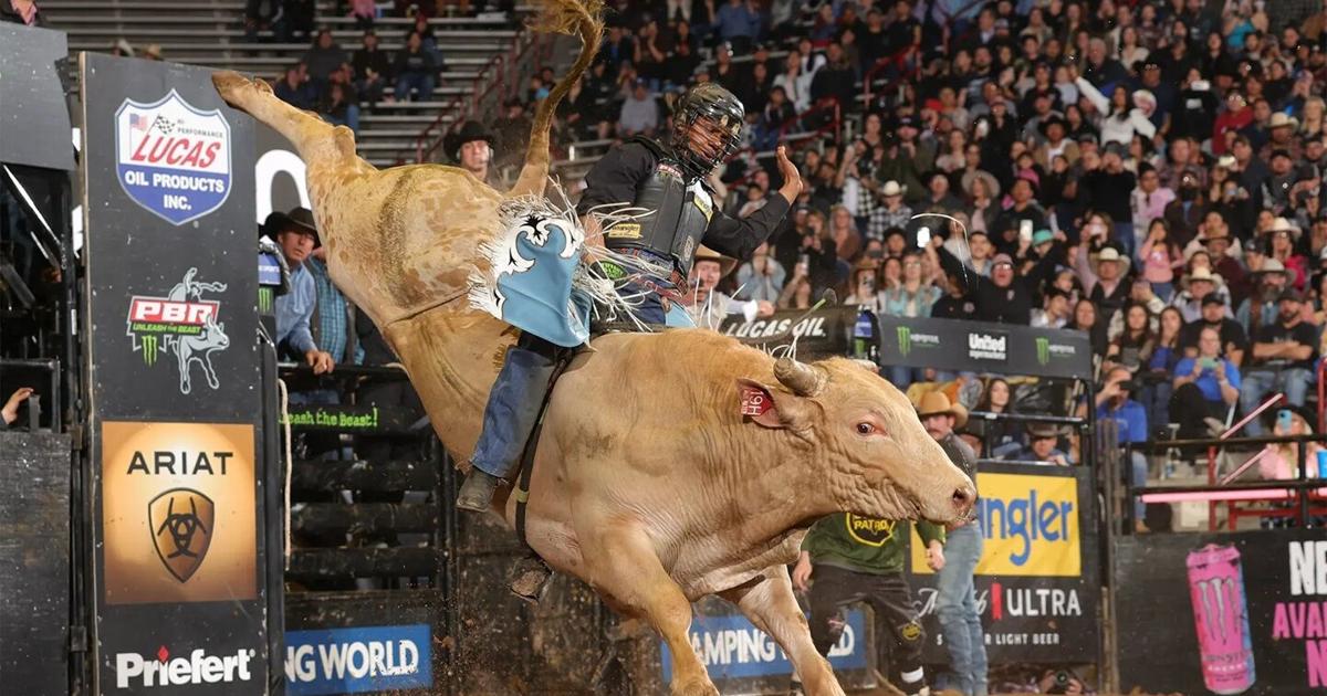 Things to do around Tampa & Wesley Chapel: Jan. 22-28 | News