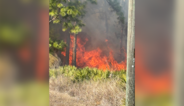 Lee County first responders extinguish brush fire in Lehigh Acres | Lee County