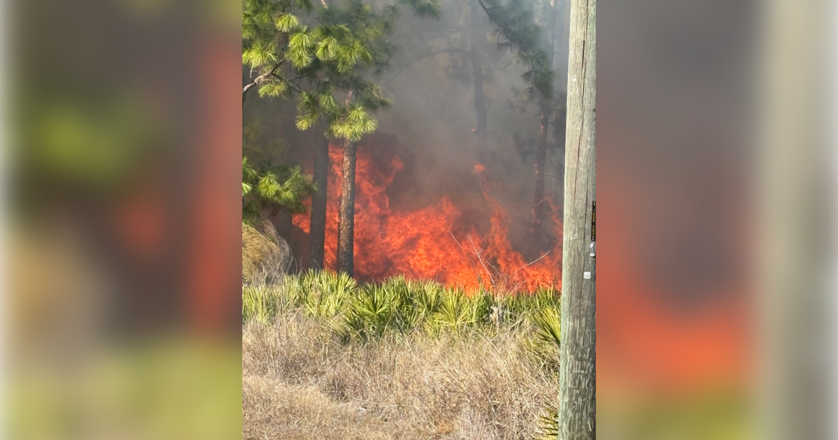 Lee County first responders extinguish brush fire in Lehigh Acres | Lee County