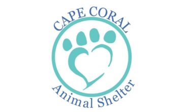 Cape Coral's PJs and Paws procuring participants | Lee County