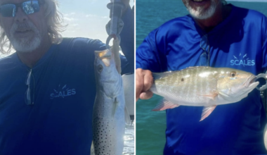 Fishing has been as good as weather allows | Fishing
