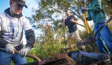 Sickles students get hands dirty learning tree care | News