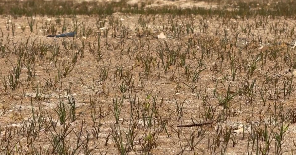 Cape Coral residents feel drought impact amid global water crisis warning | Lee County