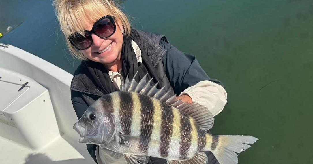 The Tampa Bay Fishin’ Report: Sheepshead, trout, whiting the stars of the show | Sports