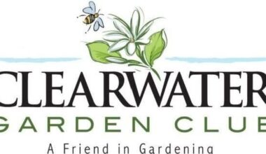 Things to do around Pinellas: Jan. 29-Feb. 4 | News