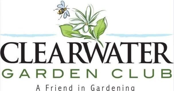 Things to do around Pinellas: Jan. 29-Feb. 4 | News