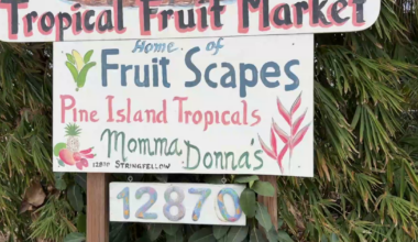 Florida farmer fights to protect tropical fruits from freezing temperatures | Lee County