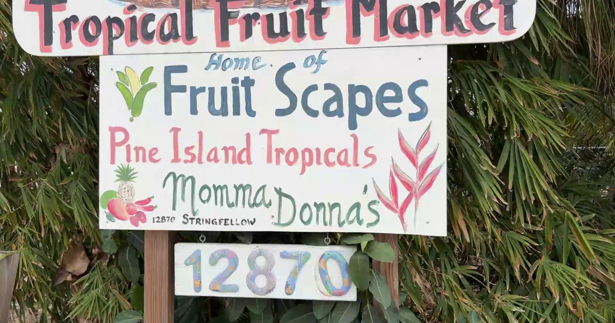 Florida farmer fights to protect tropical fruits from freezing temperatures | Lee County