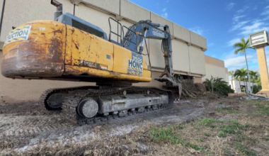 Cape Coral to demolish iguana-infested building, reclaiming community space | Lee County