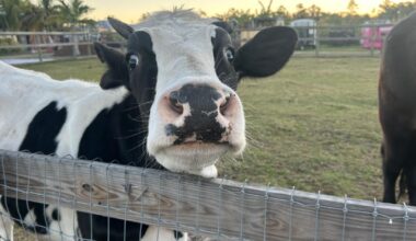 Southern Fresh Farms Grows Into Its Next Chapter | WINK Stop