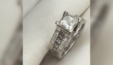 Southwest Florida Snowbird Loses Two Diamond Rings at RSW, Including One Belonging to Late Sister | Lee County