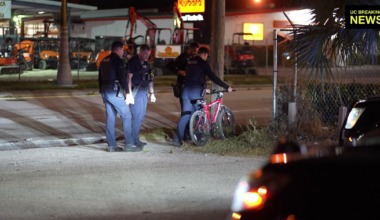 Crash on Palm Beach Blvd. involving bicycle, safety concerns | Lee County