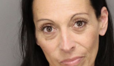 Pedestrian killed in Madeira Beach, driver arrested on manslaughter charge | Crime, Crashes and Fires