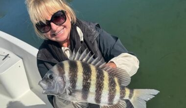 The Tampa Bay Fishin’ Report: Sheepshead, trout, whiting the stars of the show | Sports