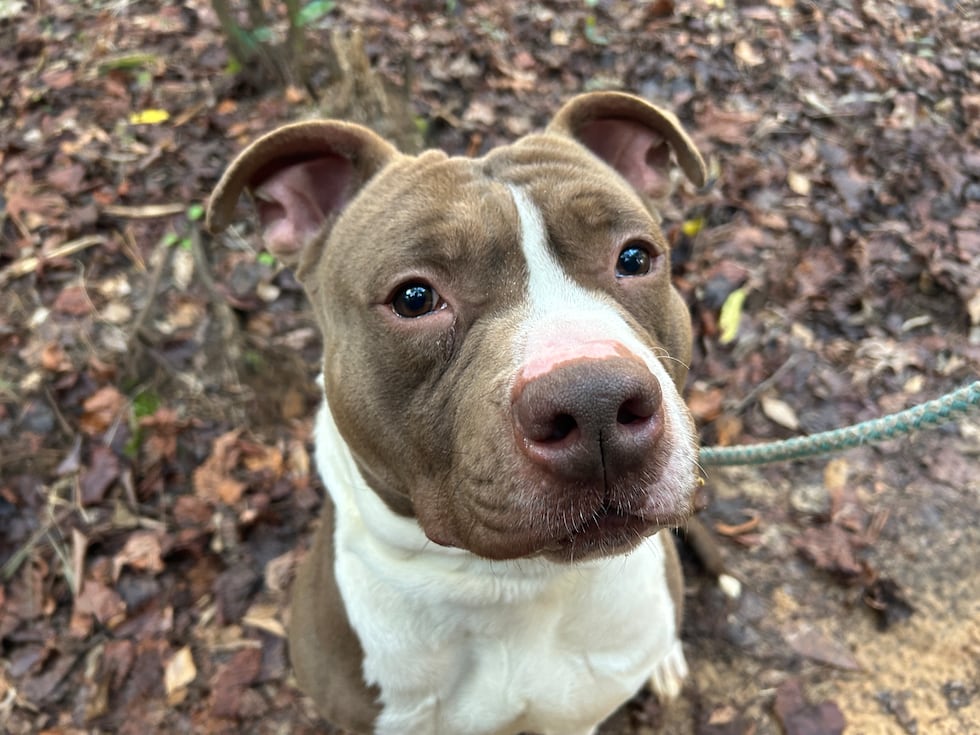 Prince needs a prince charming or a princess charming of his own!