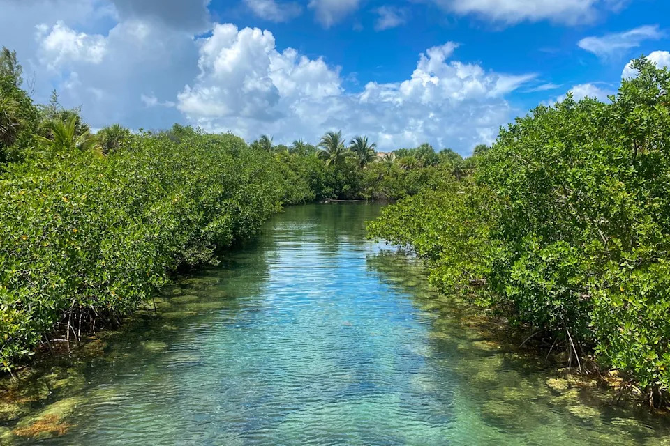 Tamara Sales/Adobe Stock An inlet on Peanut island perfect for snorkeling.