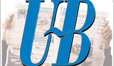 This Fort Lauderdale middle school is growing a mangrove forest to fight flooding | National